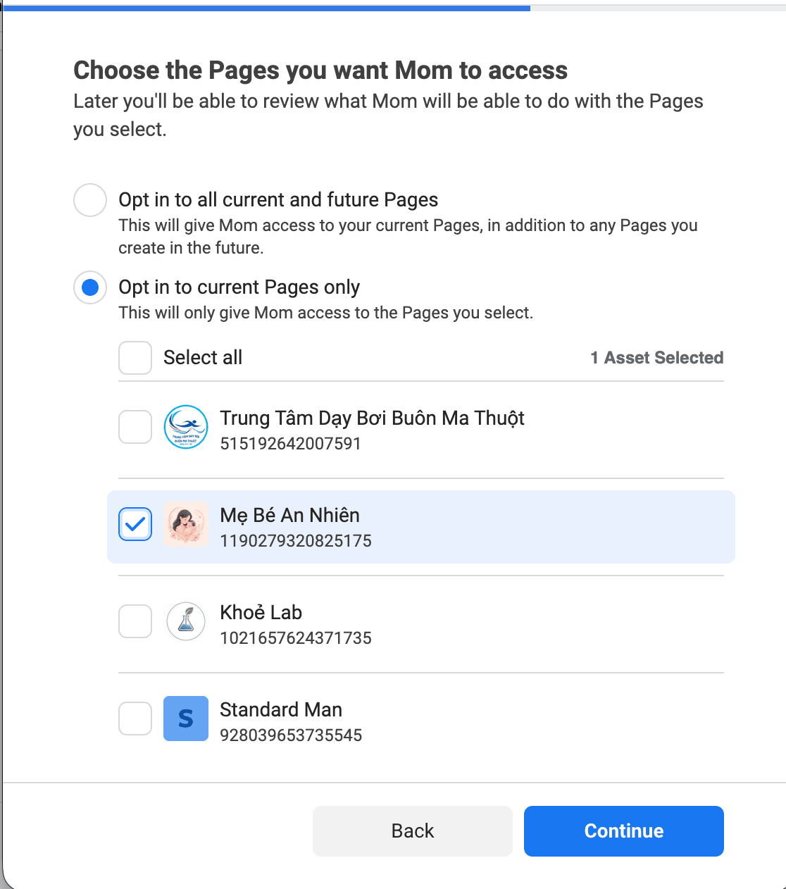 Choose a Facebook Page when granting Meta app permissions
