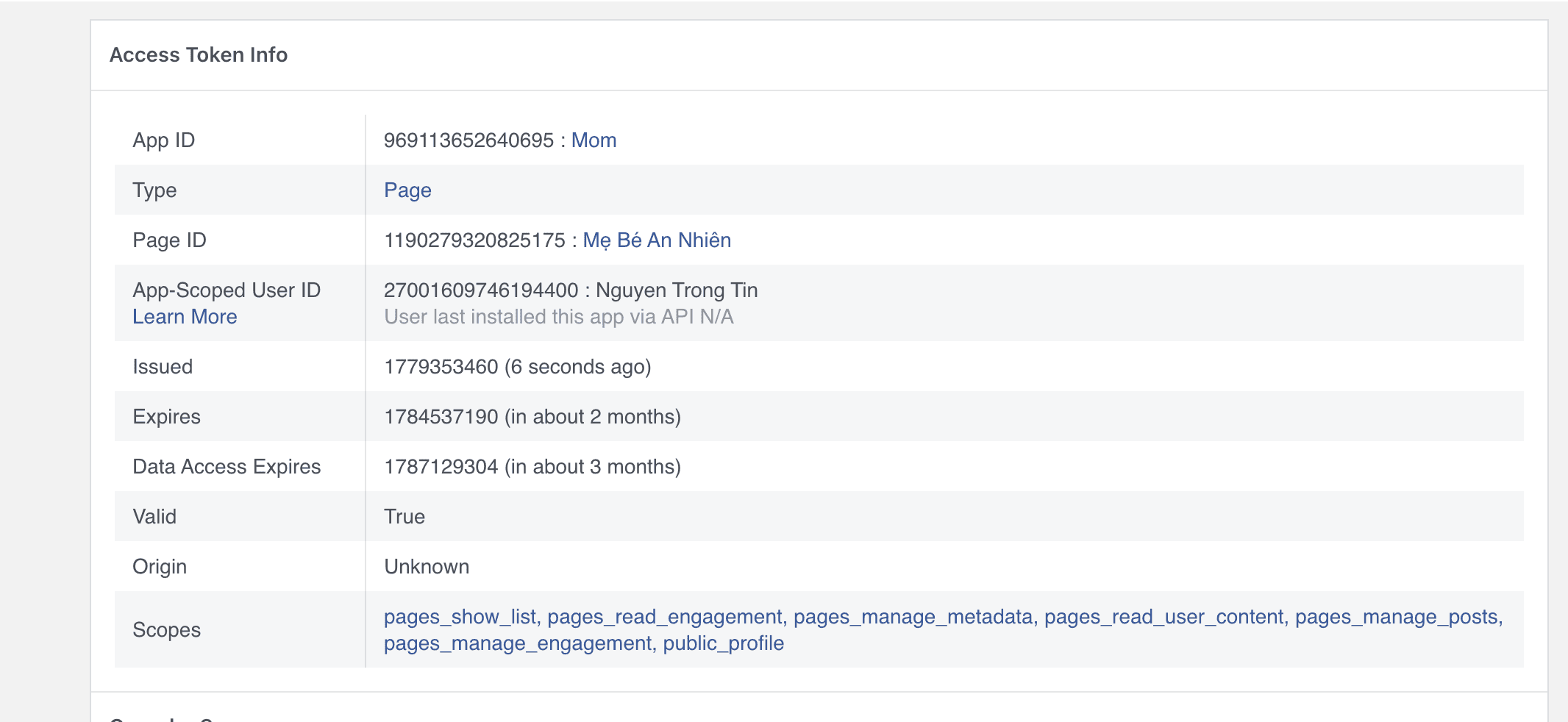 Extend a Page access token in Access Token Debugger